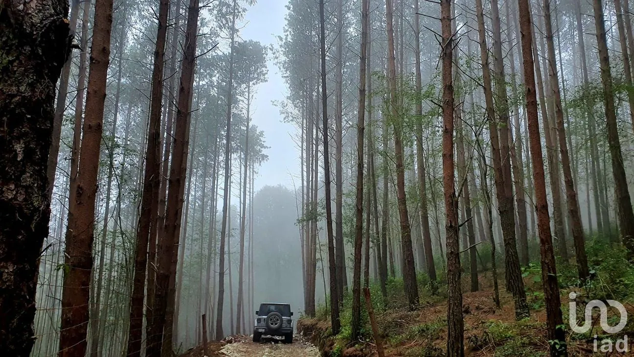 Terreno en Venta en Cerro Gordo, Omitlán de Juárez, Hidalgo | NEX-237057 | iad México | Foto 4 de 8