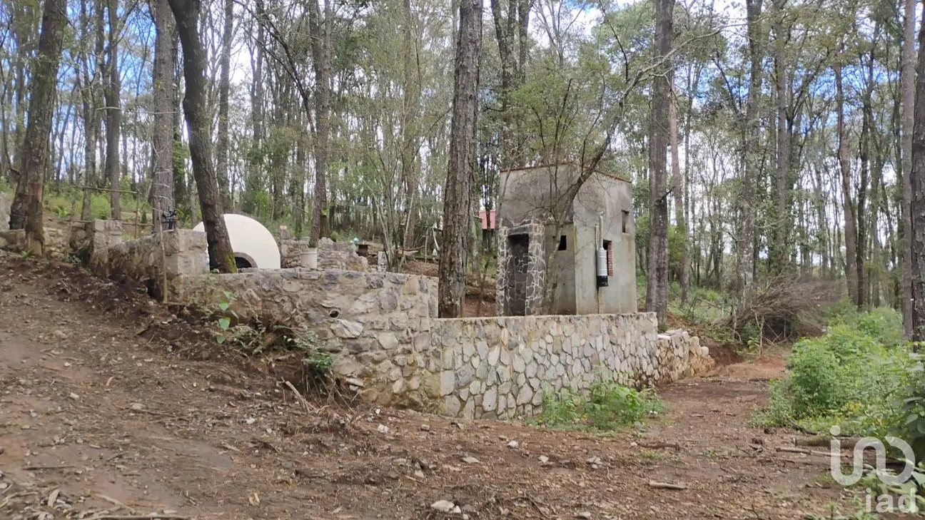 Terreno en Venta en Cerro Gordo, Omitlán de Juárez, Hidalgo | NEX-237057 | iad México | Foto 7 de 8