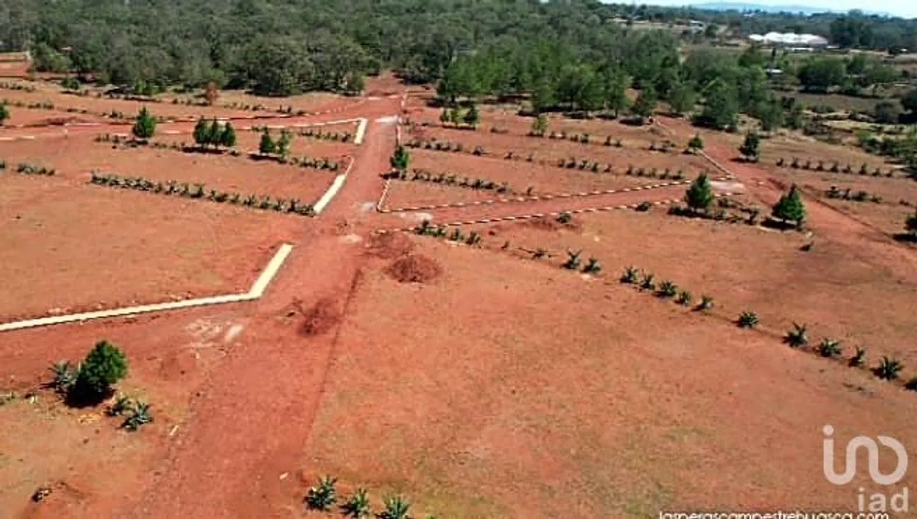 Terreno en Venta en Cerritos, Huasca de Ocampo, Hidalgo | NEX-238092 | iad México | Foto 8 de 12