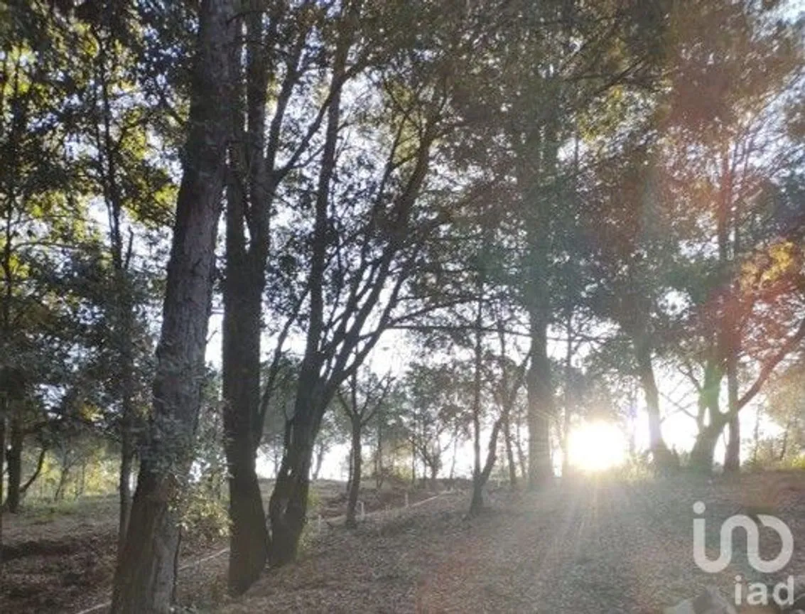 Terreno en Venta en Rincón Chico, Omitlán de Juárez, Hidalgo | NEX-242555 | iad México | Foto 11 de 18