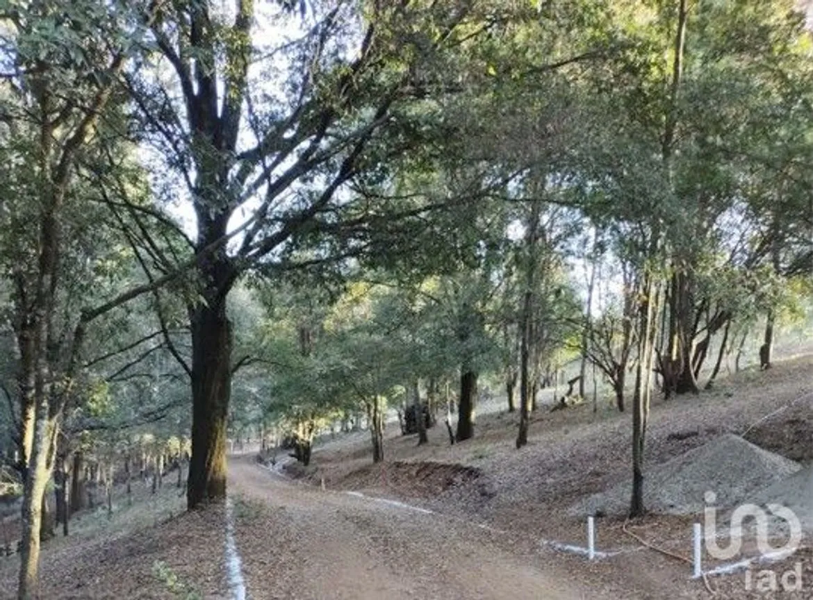 Terreno en Venta en Rincón Chico, Omitlán de Juárez, Hidalgo | NEX-242555 | iad México | Foto 7 de 18