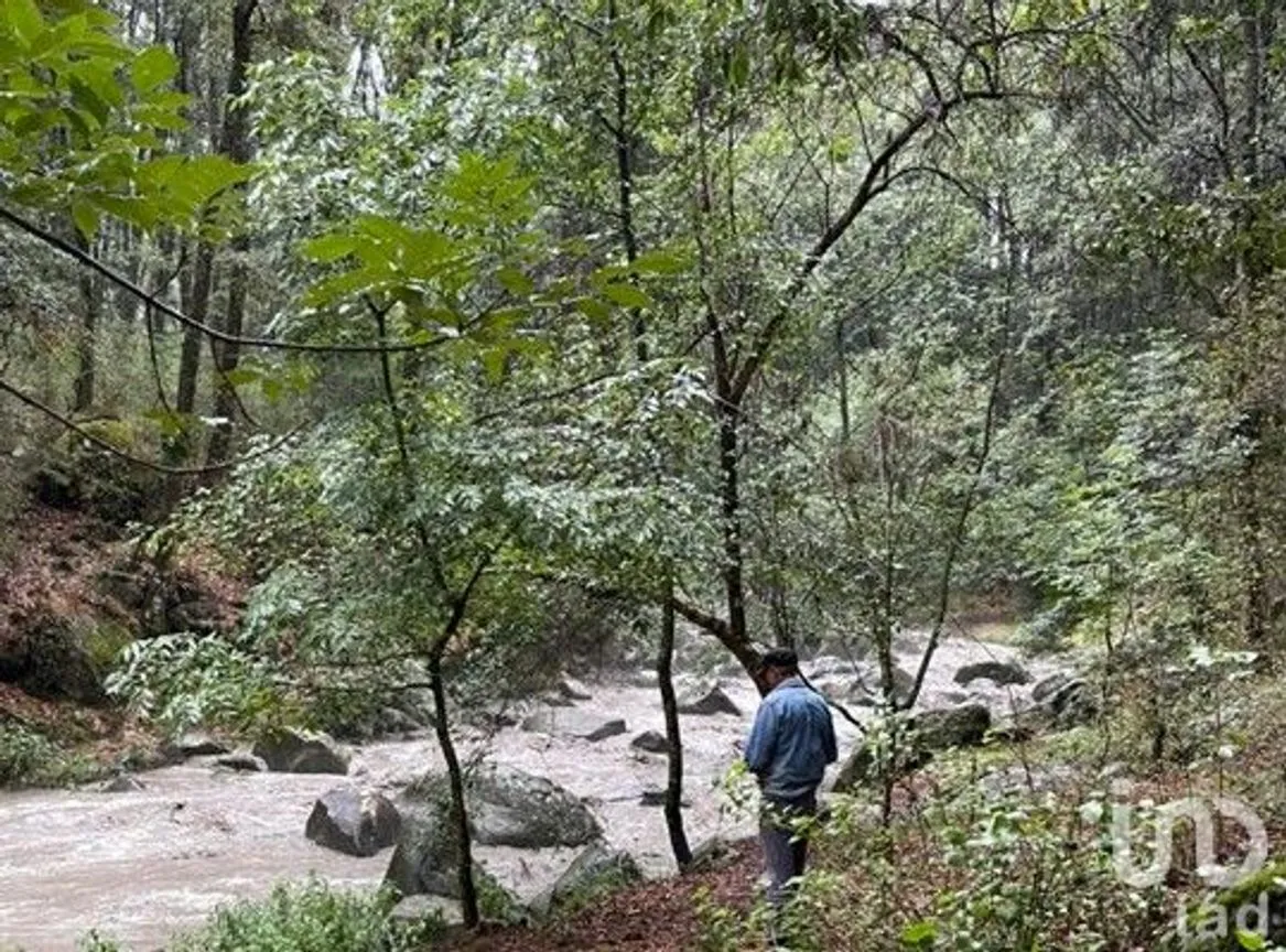 Terreno en Venta en Rincón Chico, Omitlán de Juárez, Hidalgo | NEX-242555 | iad México | Foto 8 de 18