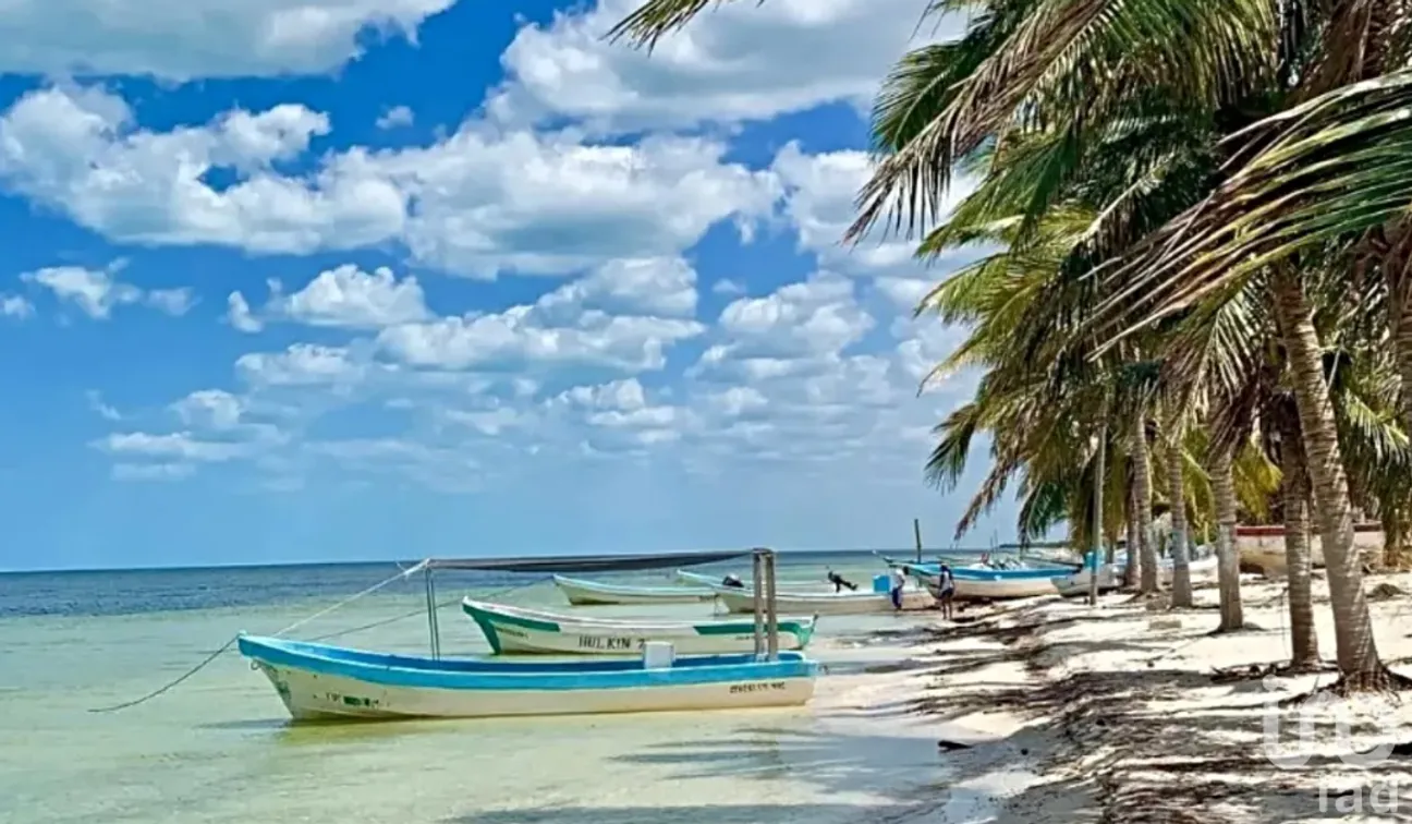 Terreno en Venta en Dzidzantún, Dzidzantún, Yucatán | NEX-245541 | iad México | Foto 11 de 19