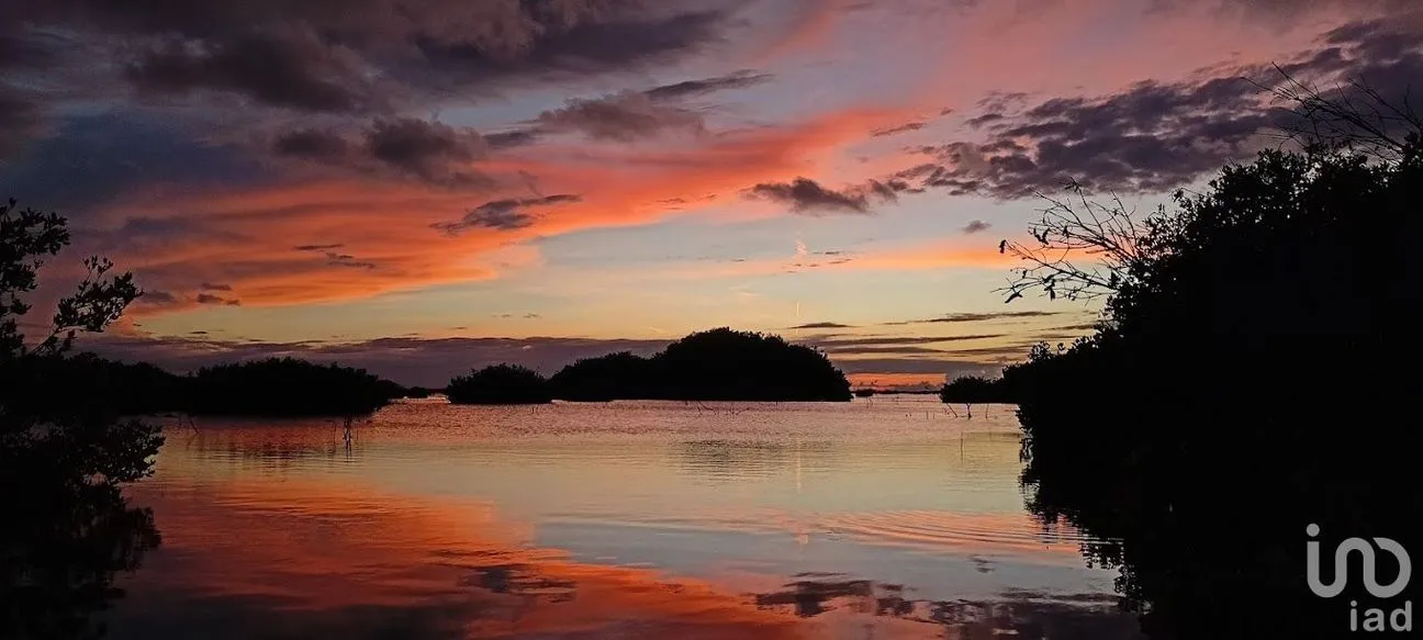 Terreno en Venta en Dzidzantún, Dzidzantún, Yucatán | NEX-245541 | iad México | Foto 12 de 19