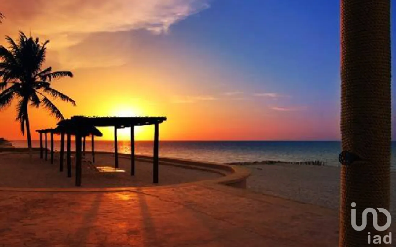 Terreno en Venta en Dzidzantún, Dzidzantún, Yucatán | NEX-245541 | iad México | Foto 13 de 19