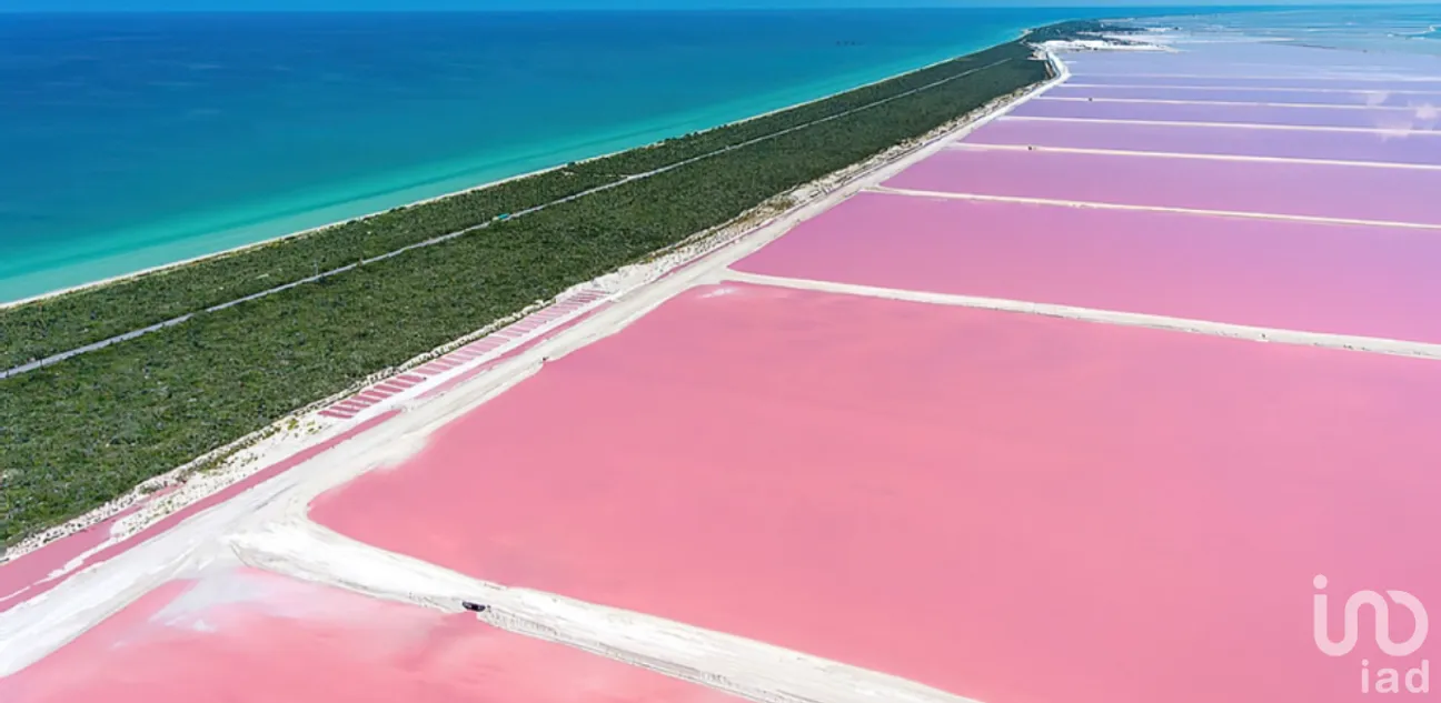 Terreno en Venta en Dzidzantún, Dzidzantún, Yucatán | NEX-245541 | iad México | Foto 14 de 19