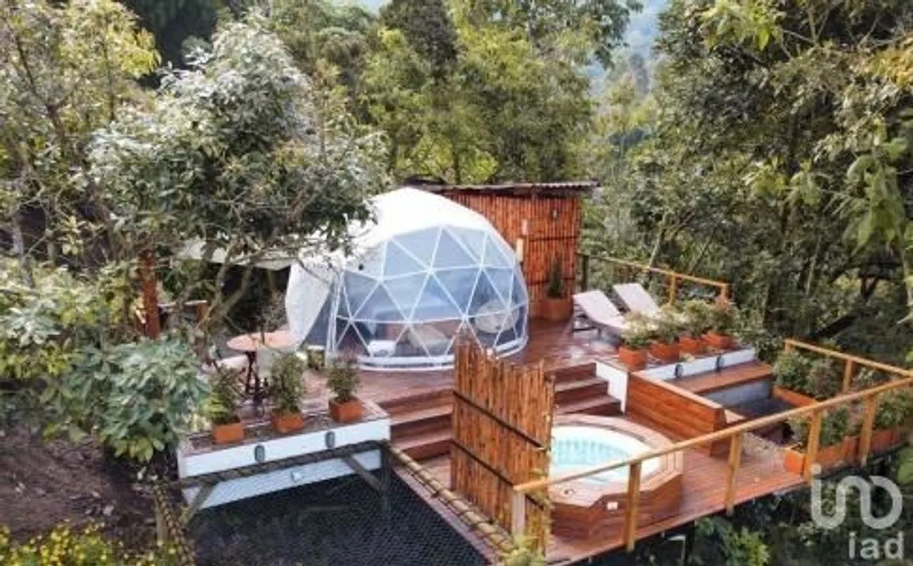 Terreno en Venta en Dzidzantún, Dzidzantún, Yucatán | NEX-245541 | iad México | Foto 16 de 19