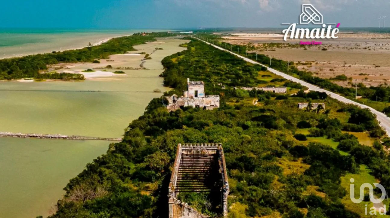 Terreno en Venta en Dzidzantún, Dzidzantún, Yucatán | NEX-245541 | iad México | Foto 17 de 19