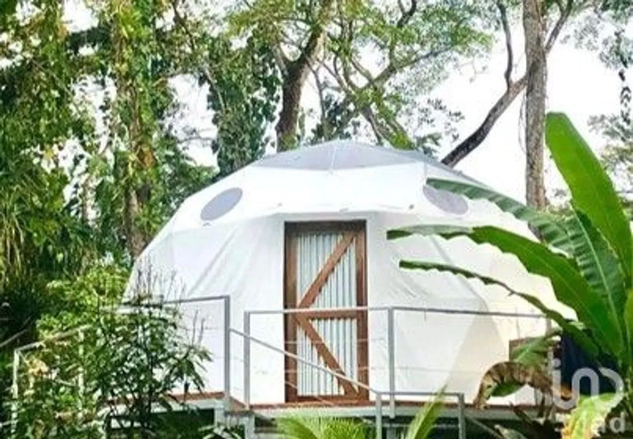 Terreno en Venta en Dzidzantún, Dzidzantún, Yucatán | NEX-245541 | iad México | Foto 3 de 19