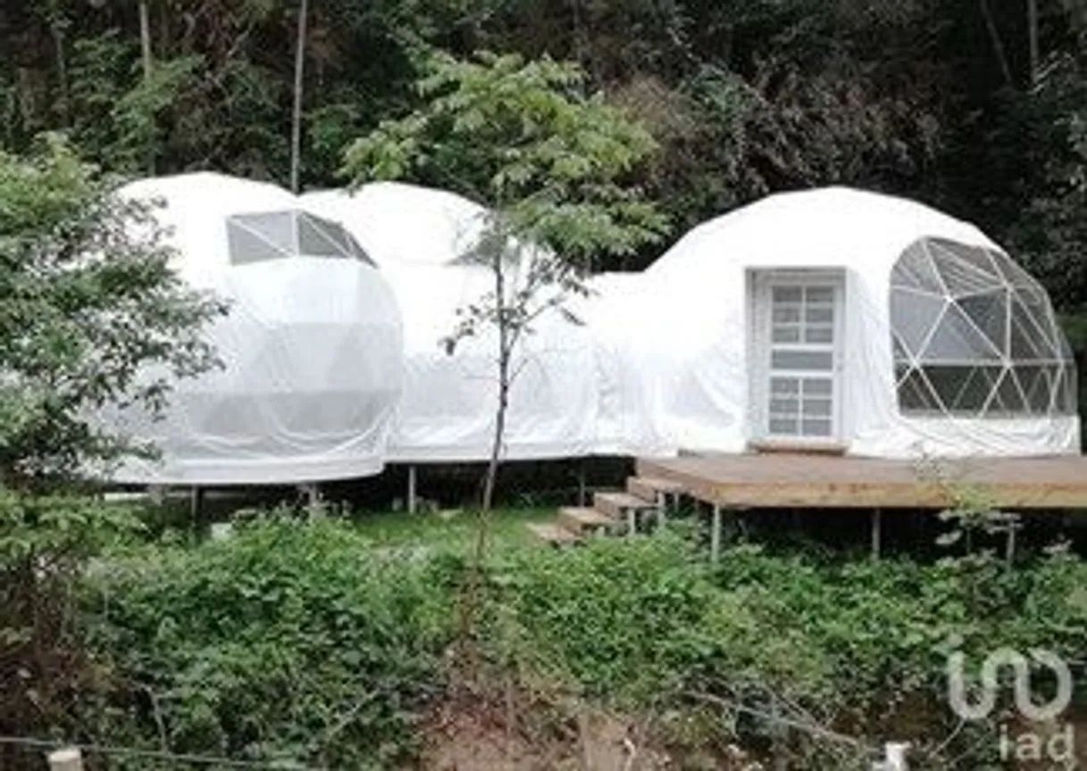 Terreno en Venta en Dzidzantún, Dzidzantún, Yucatán | NEX-245541 | iad México | Foto 4 de 19