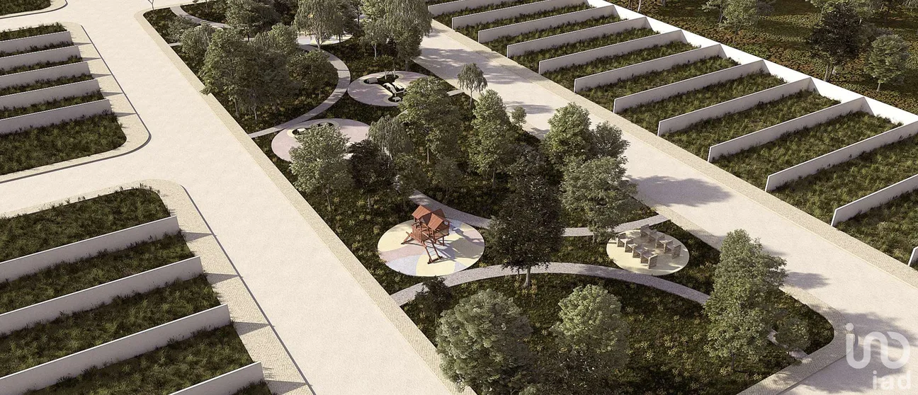 Terreno en Venta en Dzidzantún, Dzidzantún, Yucatán | NEX-245541 | iad México | Foto 9 de 19