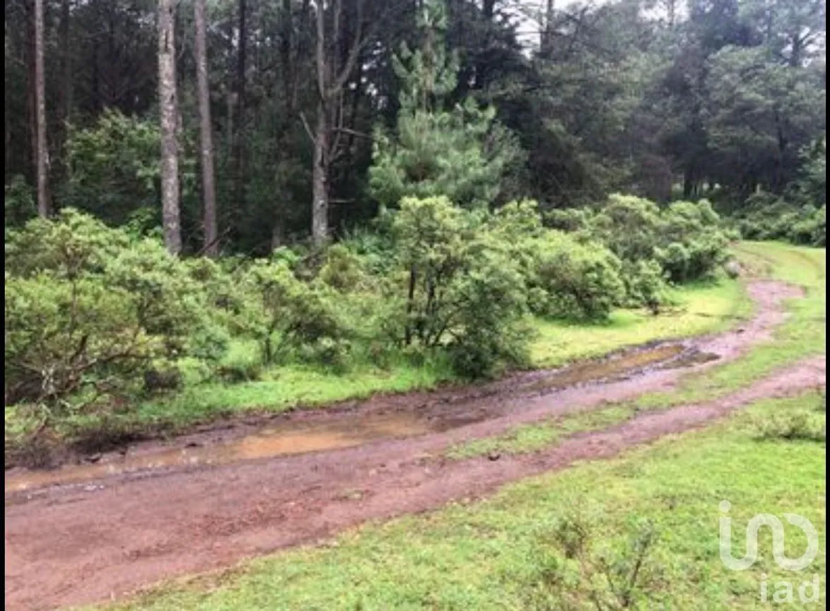 Terreno en Venta en Tres Cañadas, Omitlán de Juárez, Hidalgo | NEX-249745 | iad México | Foto 3 de 6