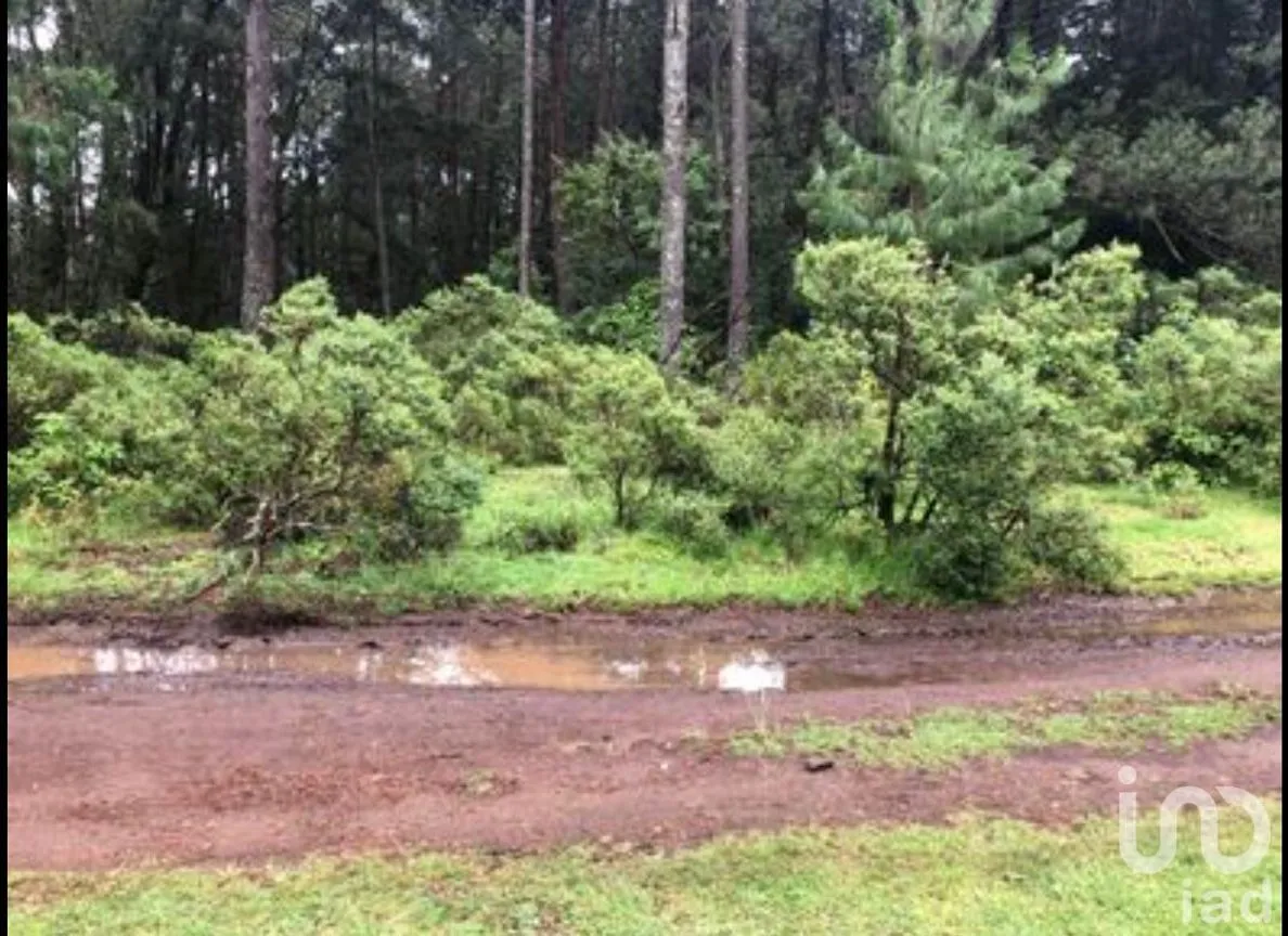 Terreno en Venta en Tres Cañadas, Omitlán de Juárez, Hidalgo | NEX-249745 | iad México | Foto 4 de 6