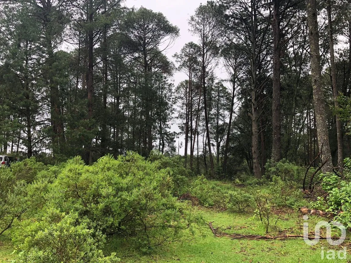 Terreno en Venta en Tres Cañadas, Omitlán de Juárez, Hidalgo | NEX-249745 | iad México | Foto 5 de 6