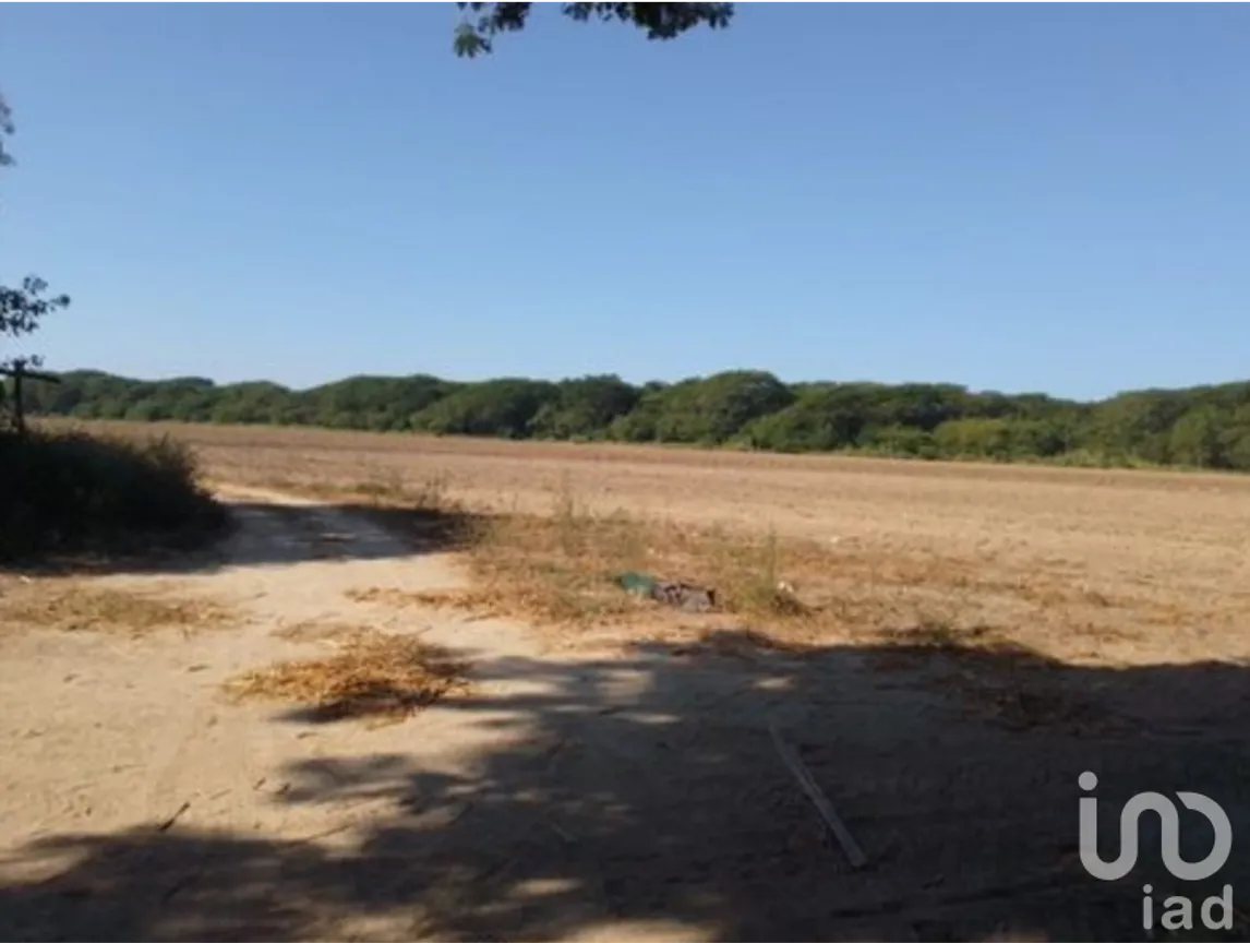 Terreno en Venta en Santa María Huatulco Centro, Santa María Huatulco, Oaxaca | NEX-253018 | iad México | Foto 11 de 16
