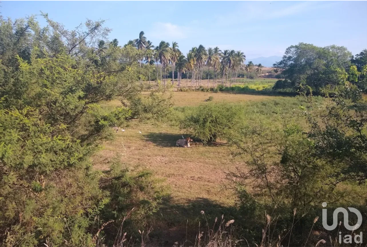 Terreno en Venta en Santa María Huatulco Centro, Santa María Huatulco, Oaxaca | NEX-253018 | iad México | Foto 14 de 16