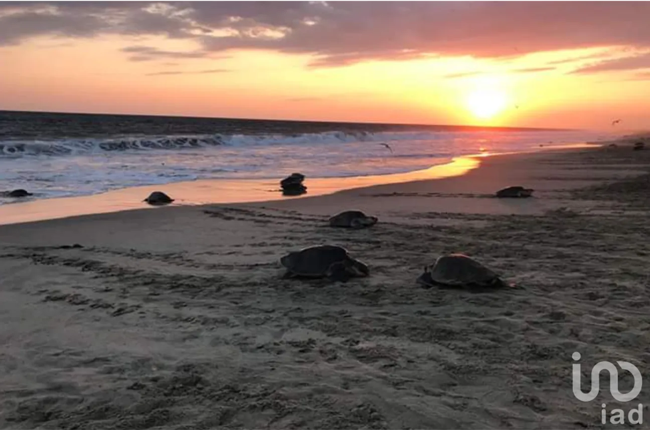 Terreno en Venta en Santa María Huatulco Centro, Santa María Huatulco, Oaxaca | NEX-253018 | iad México | Foto 15 de 16