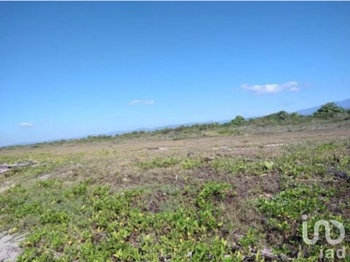 Terreno en Venta en Santa María Huatulco Centro, Santa María Huatulco, Oaxaca | NEX-253018 | iad México | Foto 4 de 16