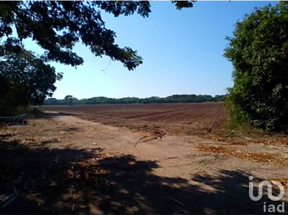 Terreno en Venta en Santa María Huatulco Centro, Santa María Huatulco, Oaxaca | NEX-253018 | iad México | Foto 10 de 16