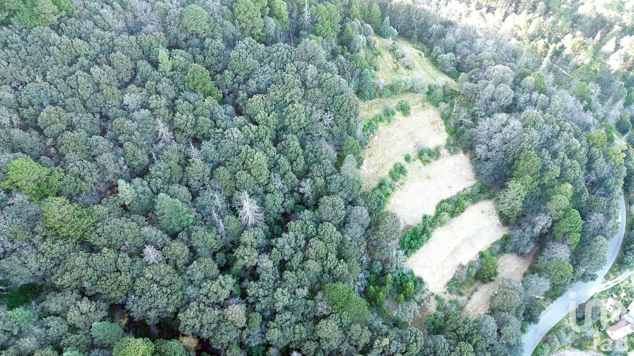 Rancho en Venta en Ciénega Larga, Mineral del Monte, Hidalgo | NEX-262800 | iad México | Foto 7 de 10