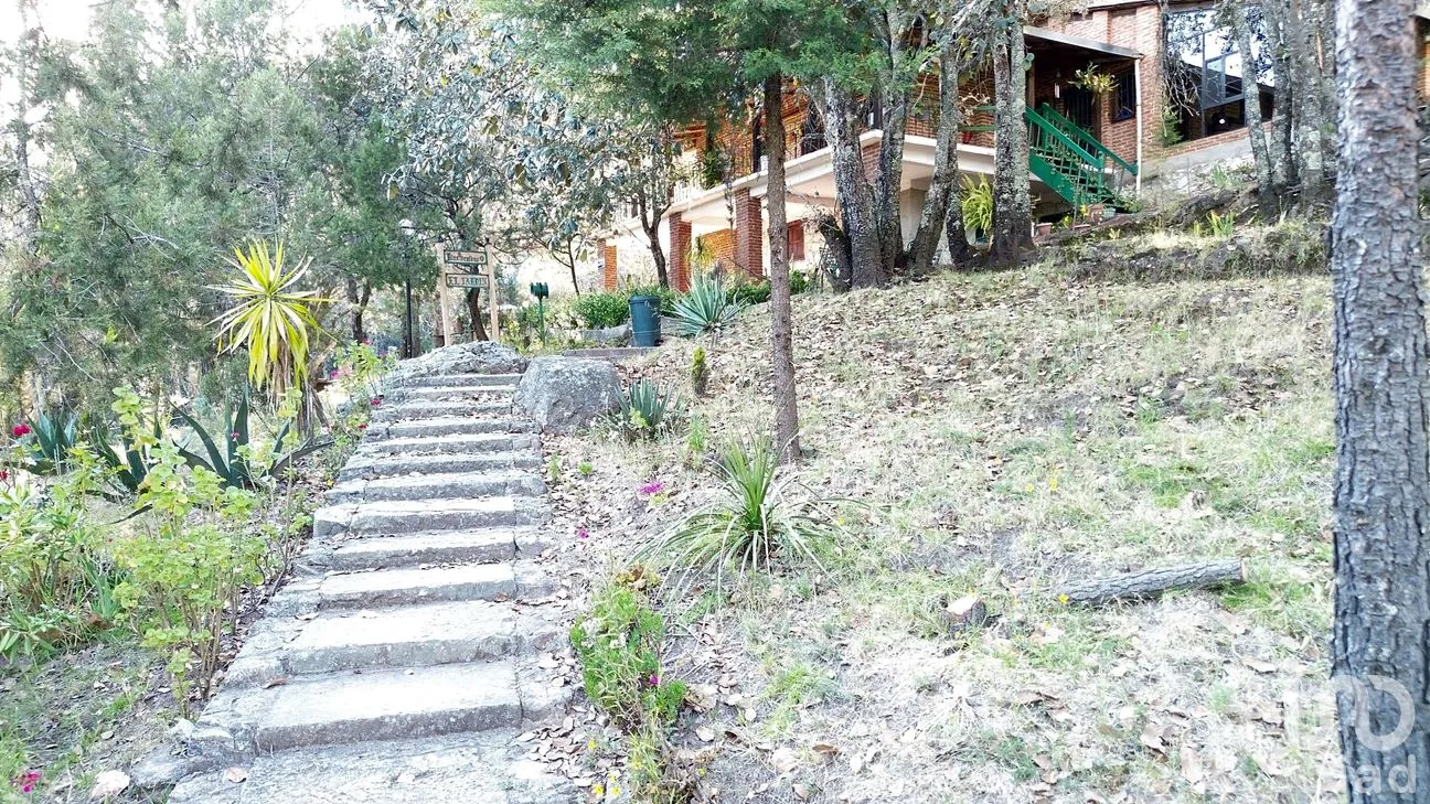 Rancho en Venta en Ciénega Larga, Mineral del Monte, Hidalgo | NEX-262800 | iad México | Foto 2 de 10