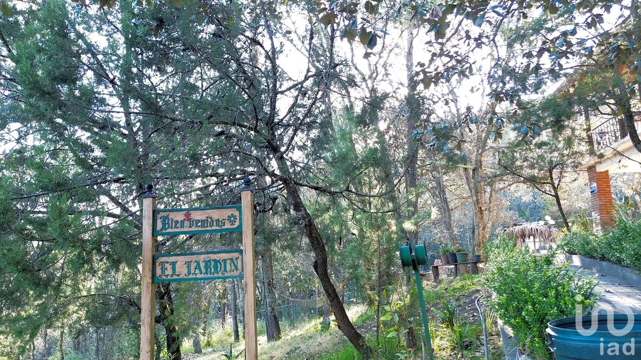 Terreno en Venta en Ciénega Larga, Mineral del Monte, Hidalgo | NEX-262800 | iad México | Foto 4 de 10