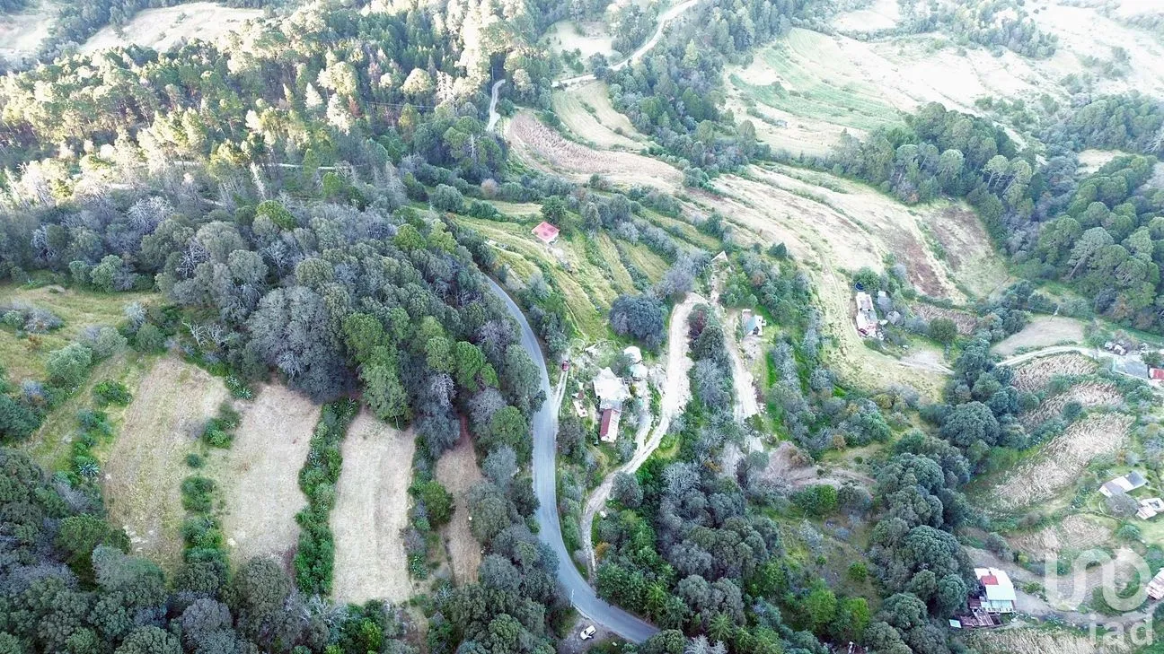 Terreno en Venta en Ciénega Larga, Mineral del Monte, Hidalgo | NEX-262800 | iad México | Foto 5 de 10