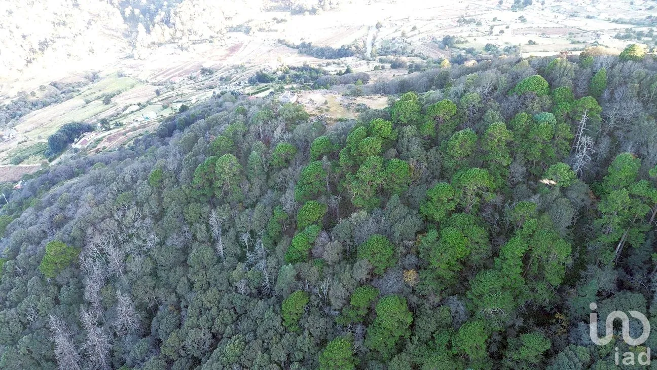 Terreno en Venta en Ciénega Larga, Mineral del Monte, Hidalgo | NEX-262800 | iad México | Foto 6 de 10
