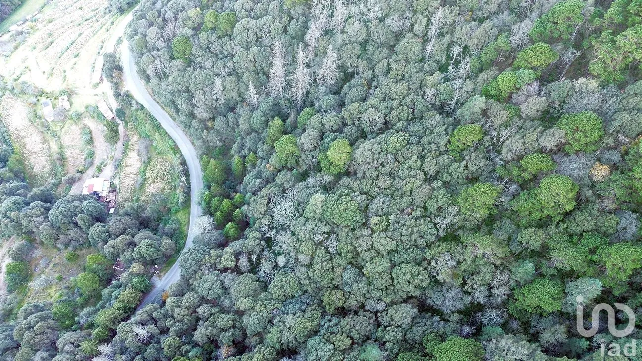 Terreno en Venta en Ciénega Larga, Mineral del Monte, Hidalgo | NEX-262800 | iad México | Foto 8 de 10