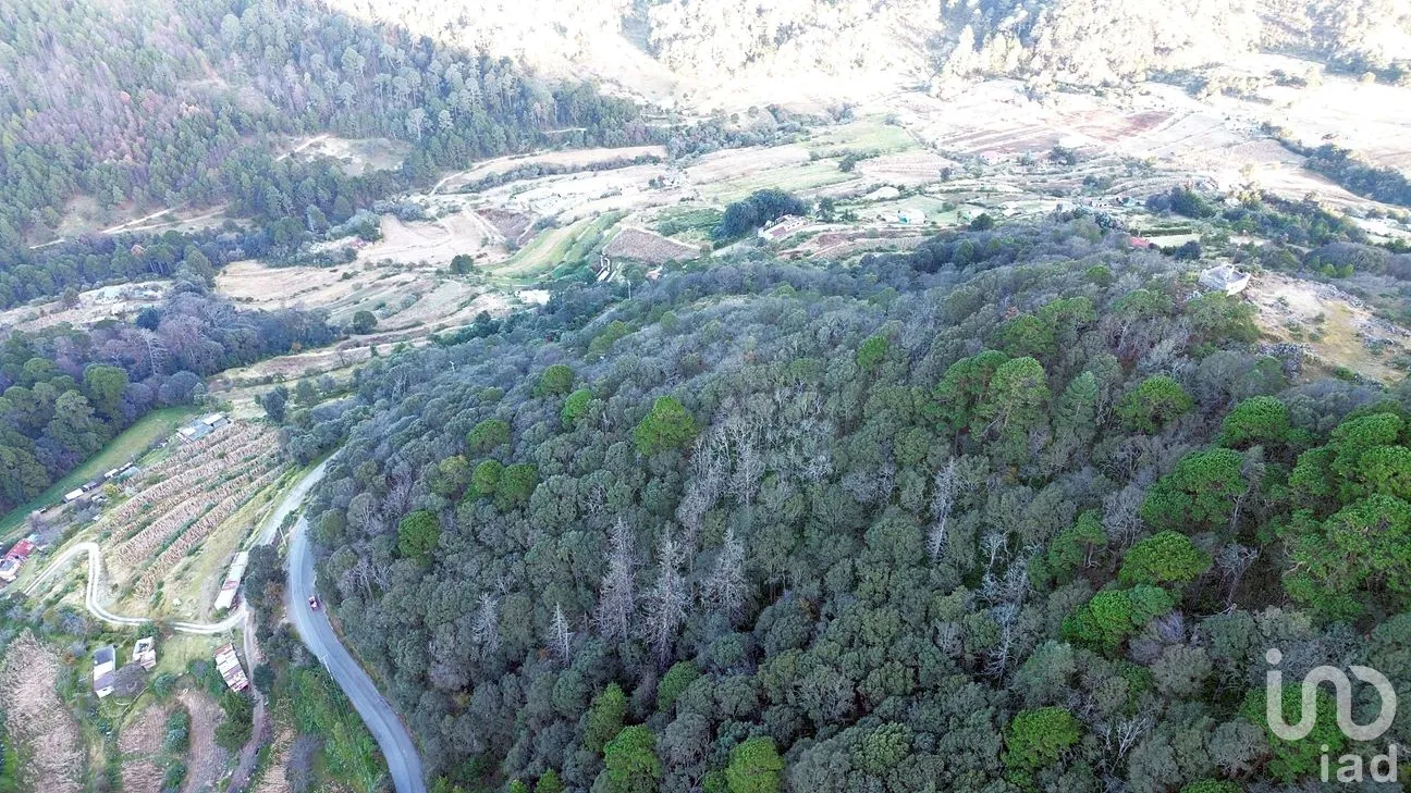 Terreno en Venta en Ciénega Larga, Mineral del Monte, Hidalgo | NEX-262800 | iad México | Foto 9 de 10