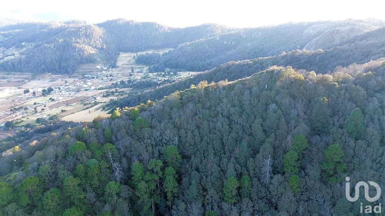 Terreno en Venta en Ciénega Larga, Mineral del Monte, Hidalgo | NEX-262800 | iad México | Foto 10 de 10