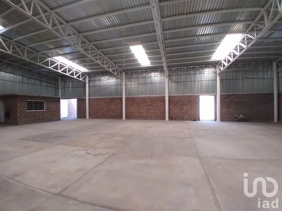 Bodega en Renta en El Saucillo, Mineral de la Reforma, Hidalgo | NEX-264110 | iad México | Foto 9 de 16