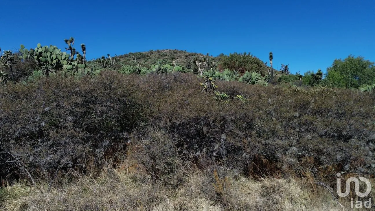 Terreno en Venta en Azoyatla de Ocampo, Mineral de la Reforma, Hidalgo | NEX-265169 | iad México | Foto 6 de 11