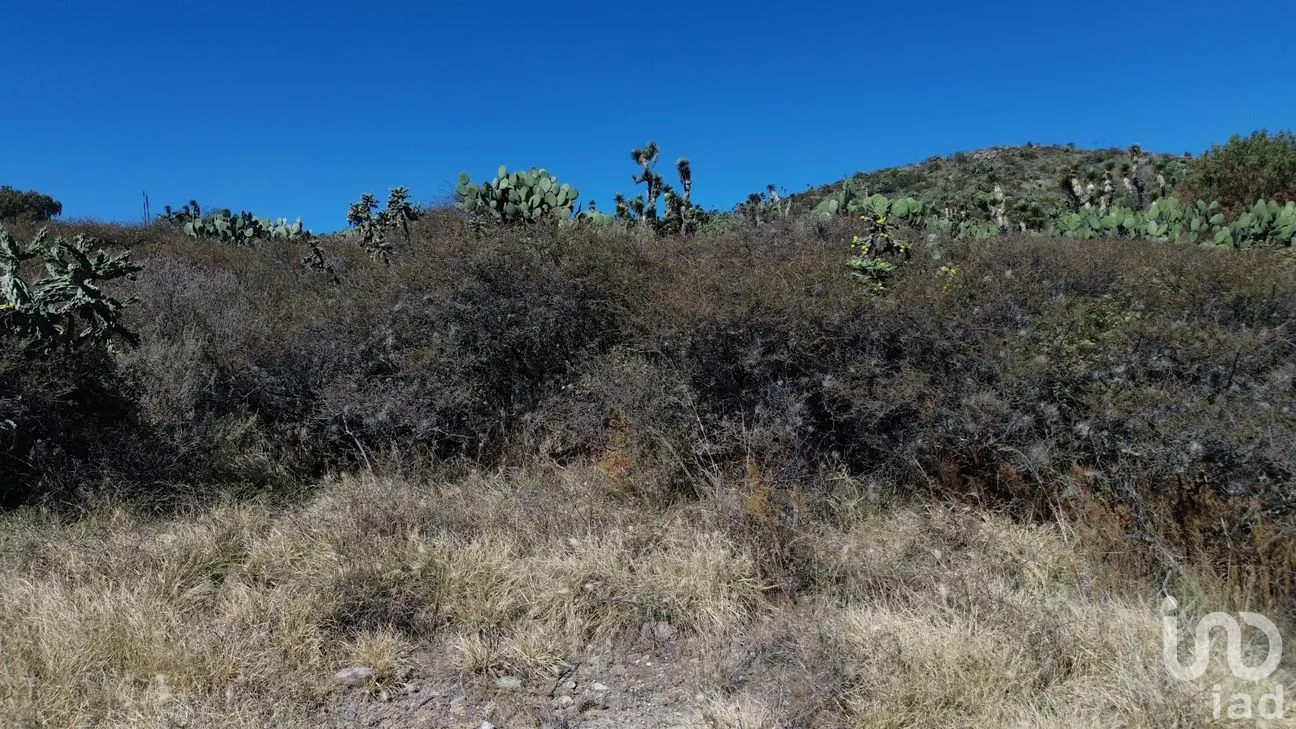 Terreno en Venta en Azoyatla de Ocampo, Mineral de la Reforma, Hidalgo | NEX-265169 | iad México | Foto 8 de 11