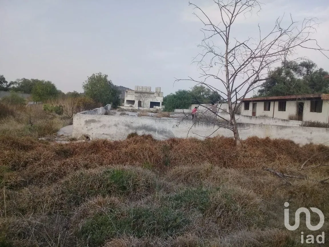 Terreno en Venta en Jagüey de Téllez (Estación Téllez), Zempoala, Hidalgo | NEX-147209 | iad México | Foto 4 de 6
