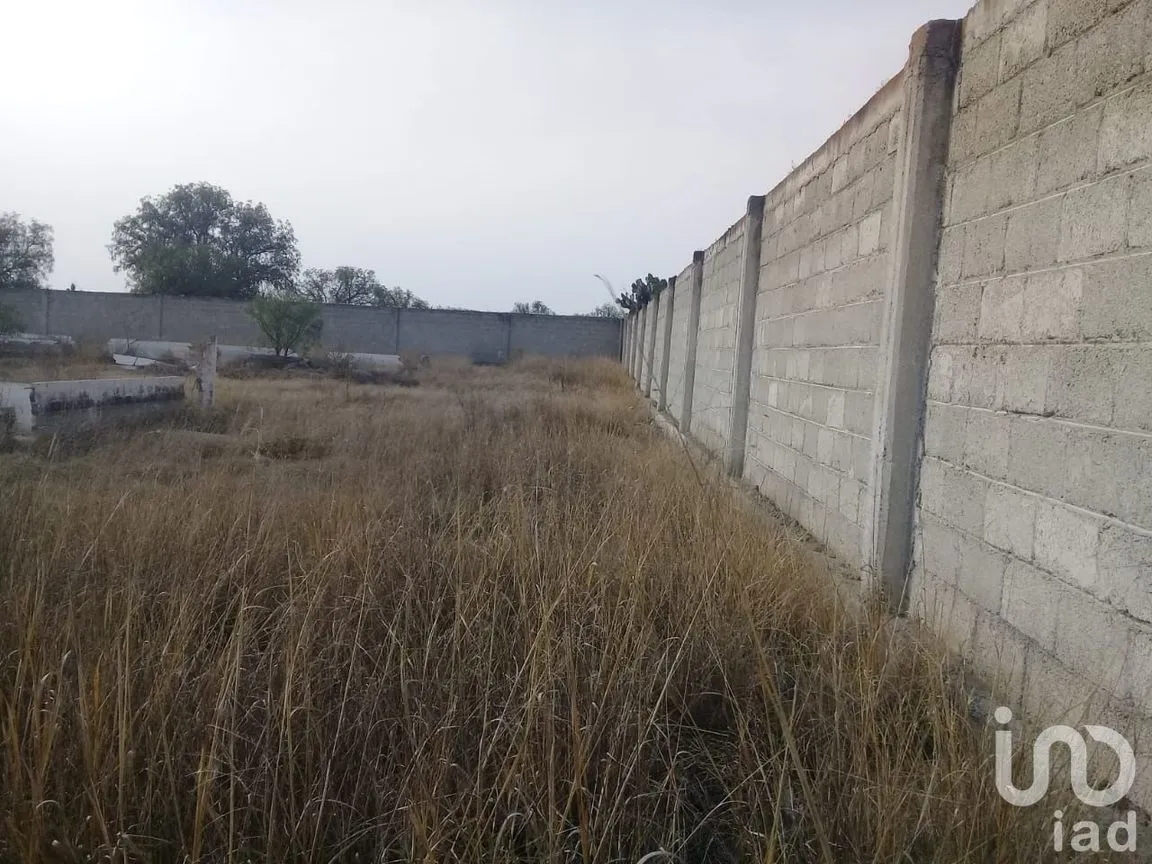 Terreno en Venta en Jagüey de Téllez (Estación Téllez), Zempoala, Hidalgo | NEX-147209 | iad México | Foto 2 de 6