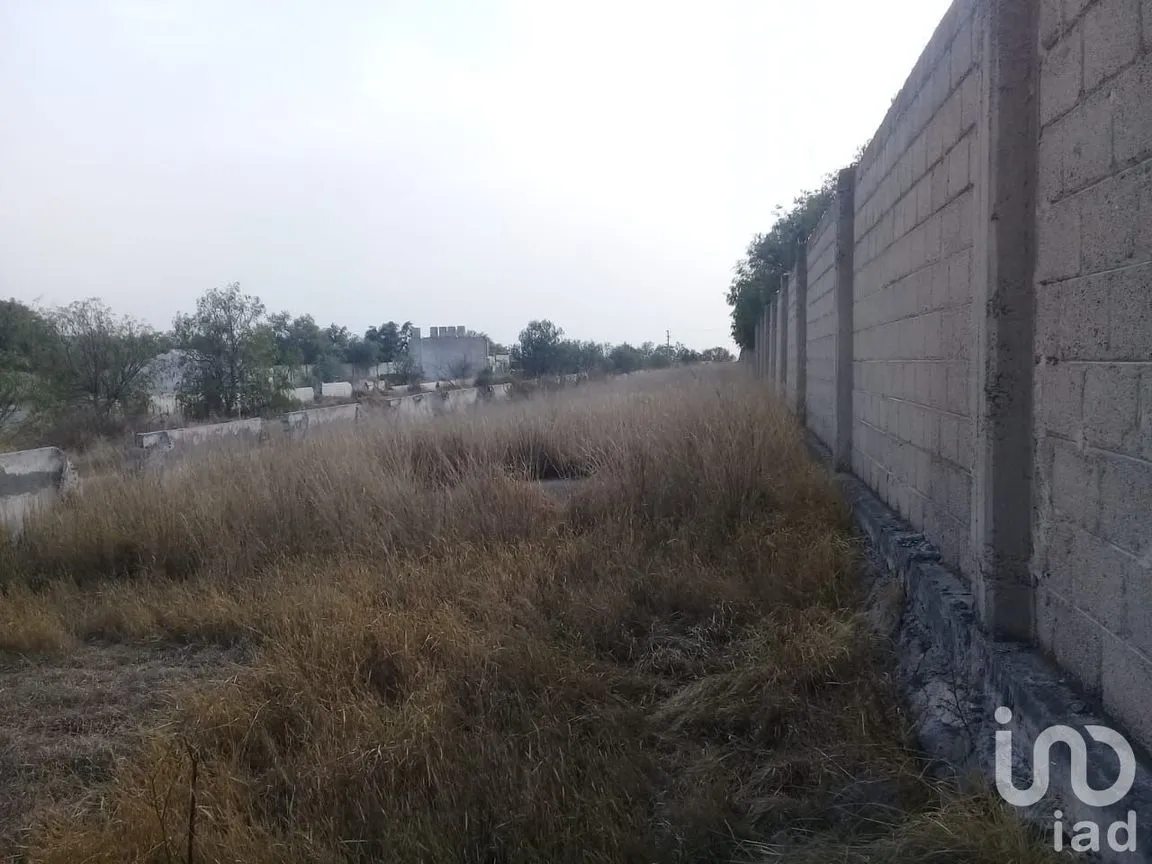 Terreno en Venta en Jagüey de Téllez (Estación Téllez), Zempoala, Hidalgo | NEX-147209 | iad México | Foto 5 de 6
