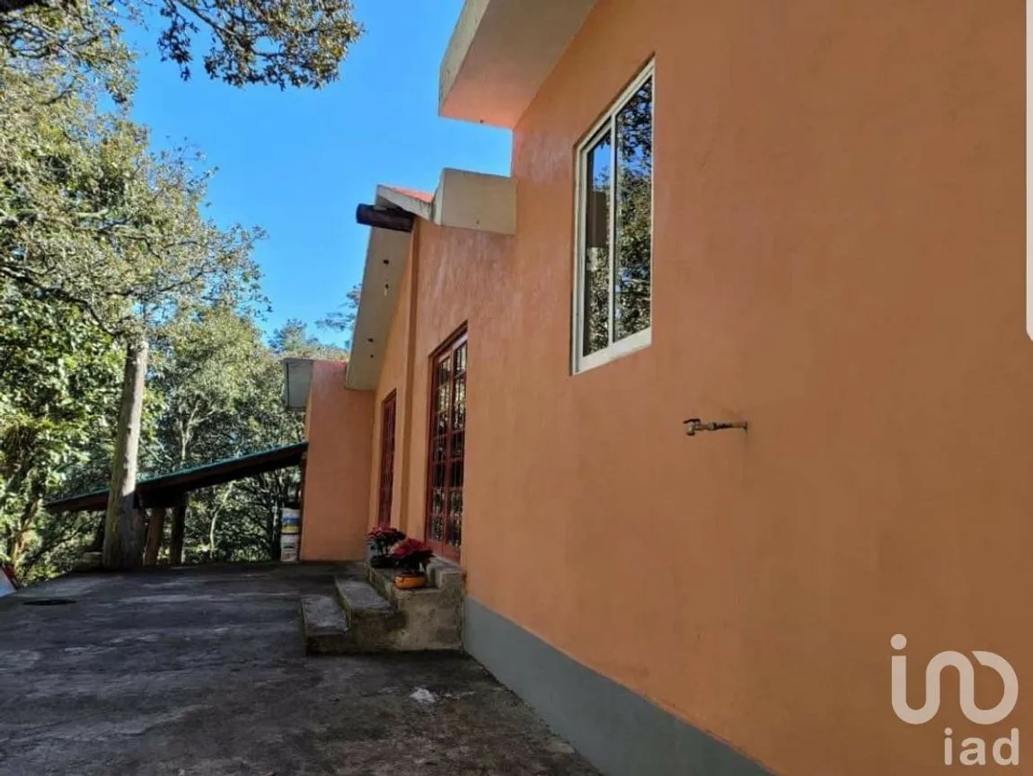 Rancho en Venta en Pueblo Nuevo, Mineral del Monte, Hidalgo | NEX-163212 | iad México | Foto 4 de 14