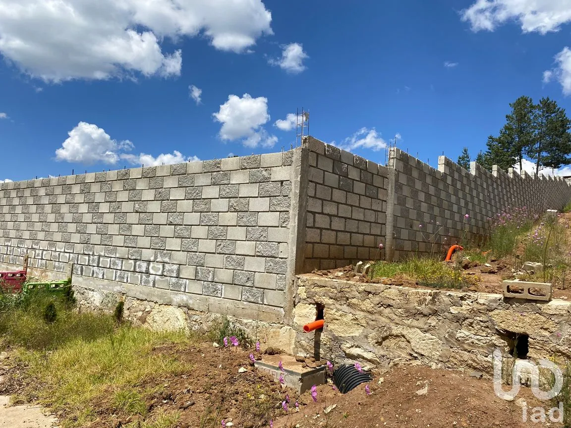 Terreno en Venta en Morelos, Omitlán de Juárez, Hidalgo | NEX-184953 | iad México | Foto 6 de 9