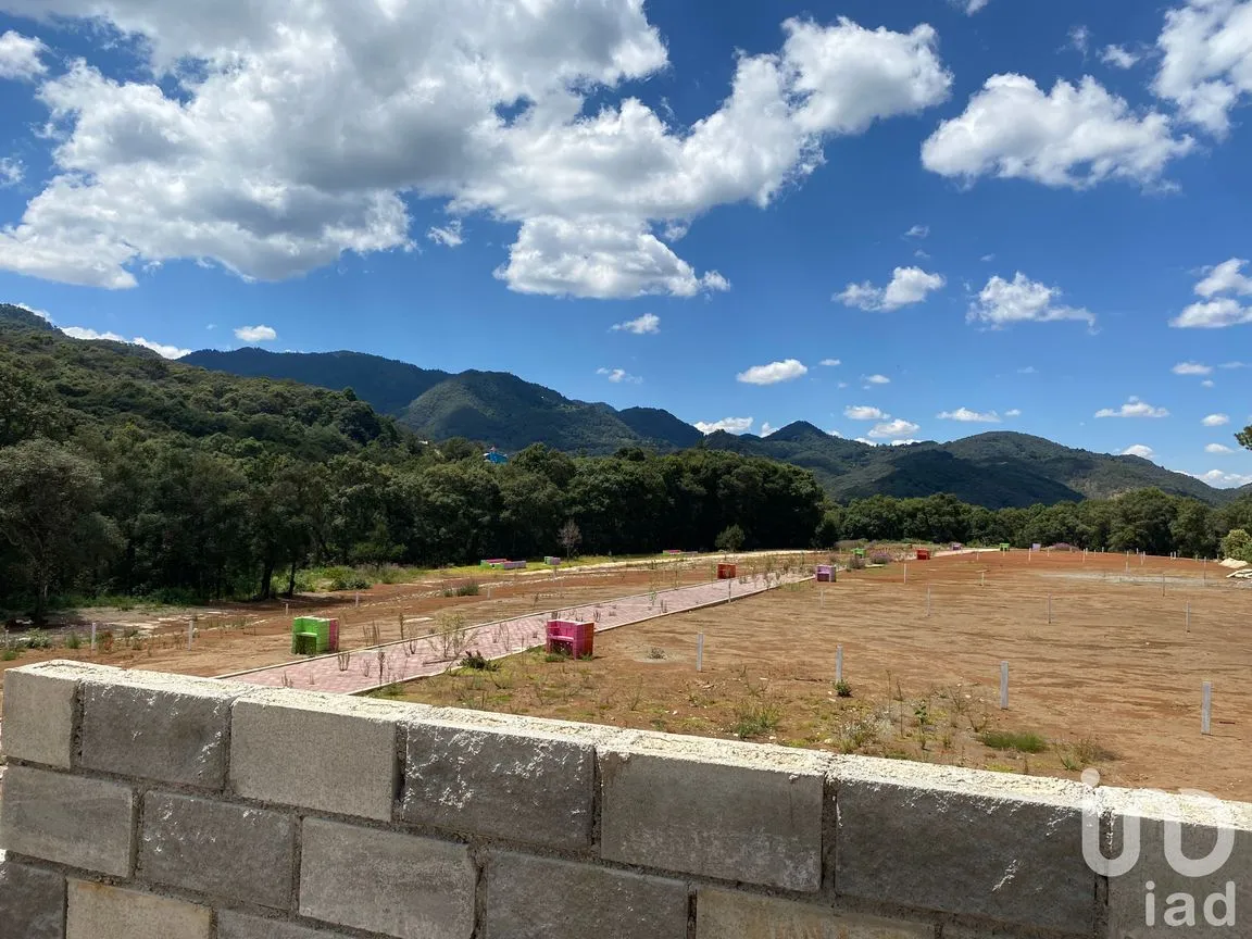 Terreno en Venta en Morelos, Omitlán de Juárez, Hidalgo | NEX-184953 | iad México | Foto 7 de 9