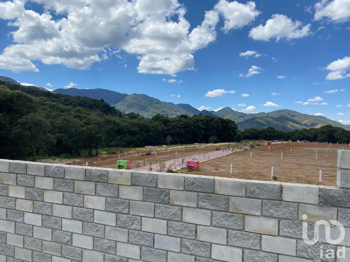 Terreno en Venta en Morelos, Omitlán de Juárez, Hidalgo | NEX-184953 | iad México | Foto 8 de 9