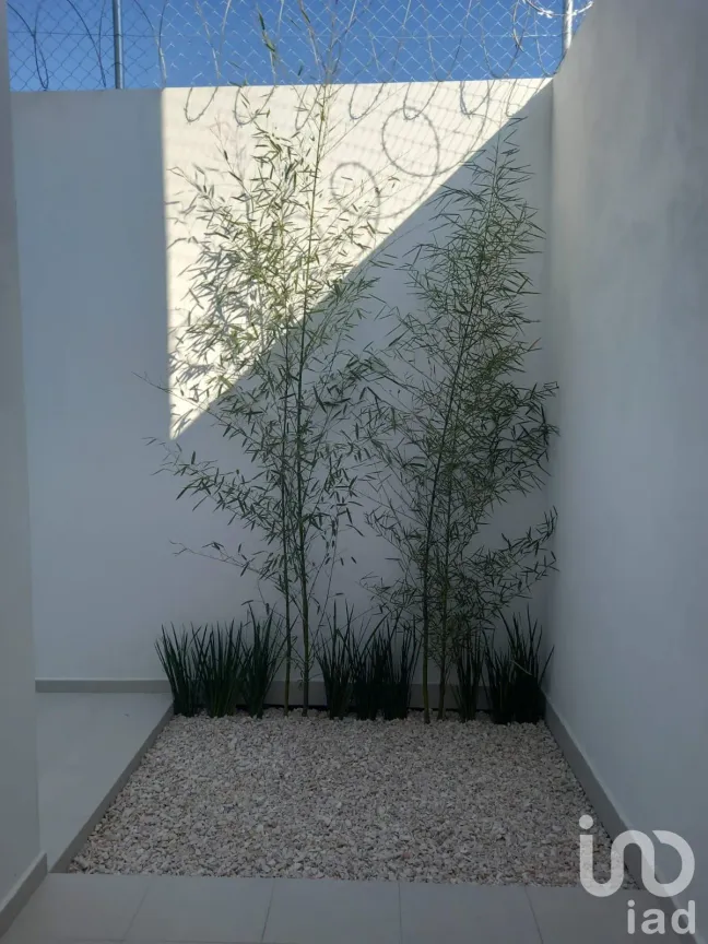 Casa en Venta en El Venado, Mineral de la Reforma, Hidalgo | NEX-186183 | iad México | Foto 7 de 10