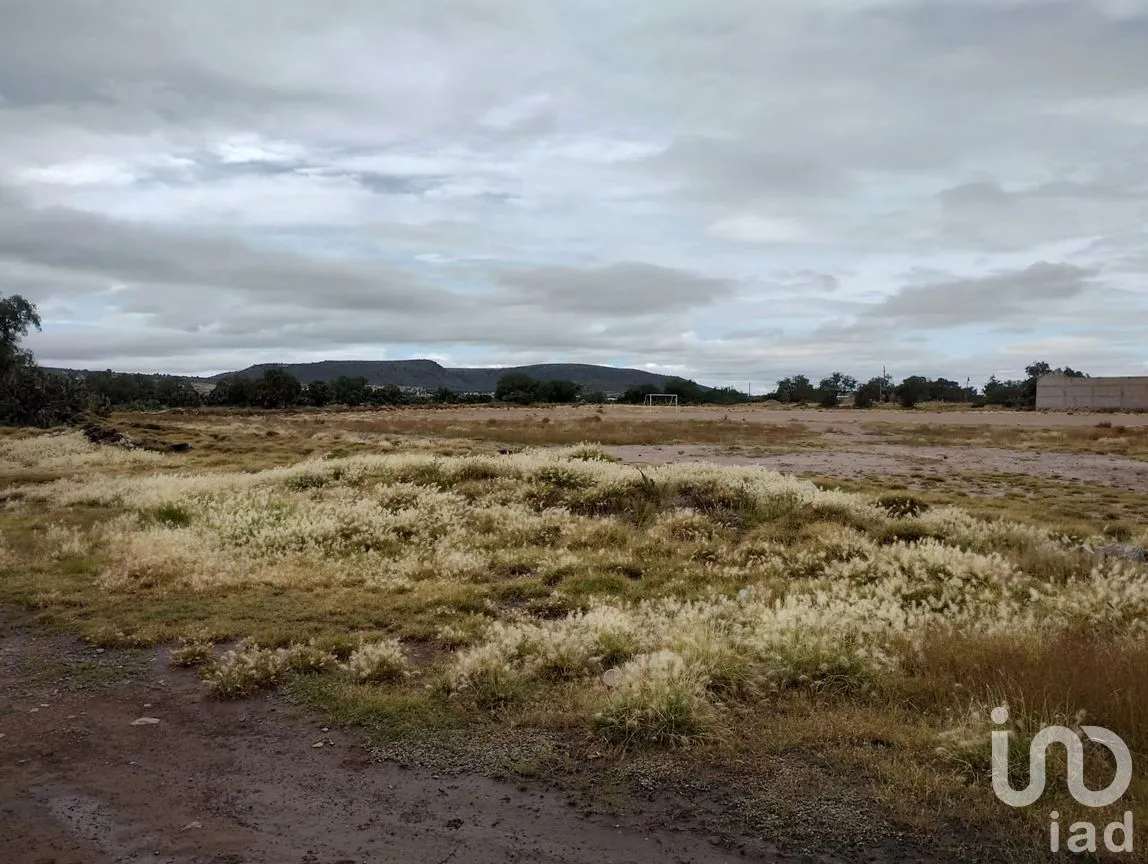 Terreno en Venta en Jagüey de Téllez (Estación Téllez), Zempoala, Hidalgo | NEX-187111 | iad México | Foto 5 de 6
