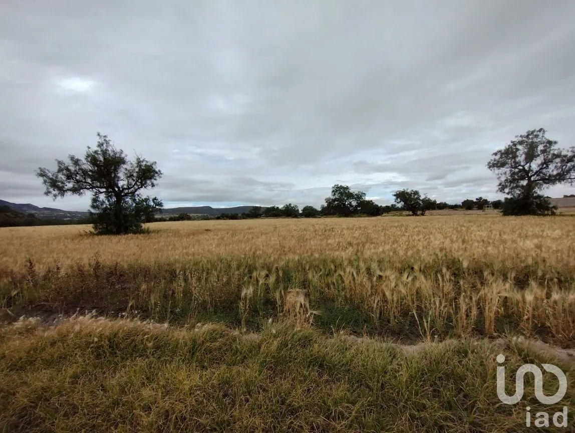 Terreno en Venta en Jagüey de Téllez (Estación Téllez), Zempoala, Hidalgo | NEX-187111 | iad México | Foto 6 de 6
