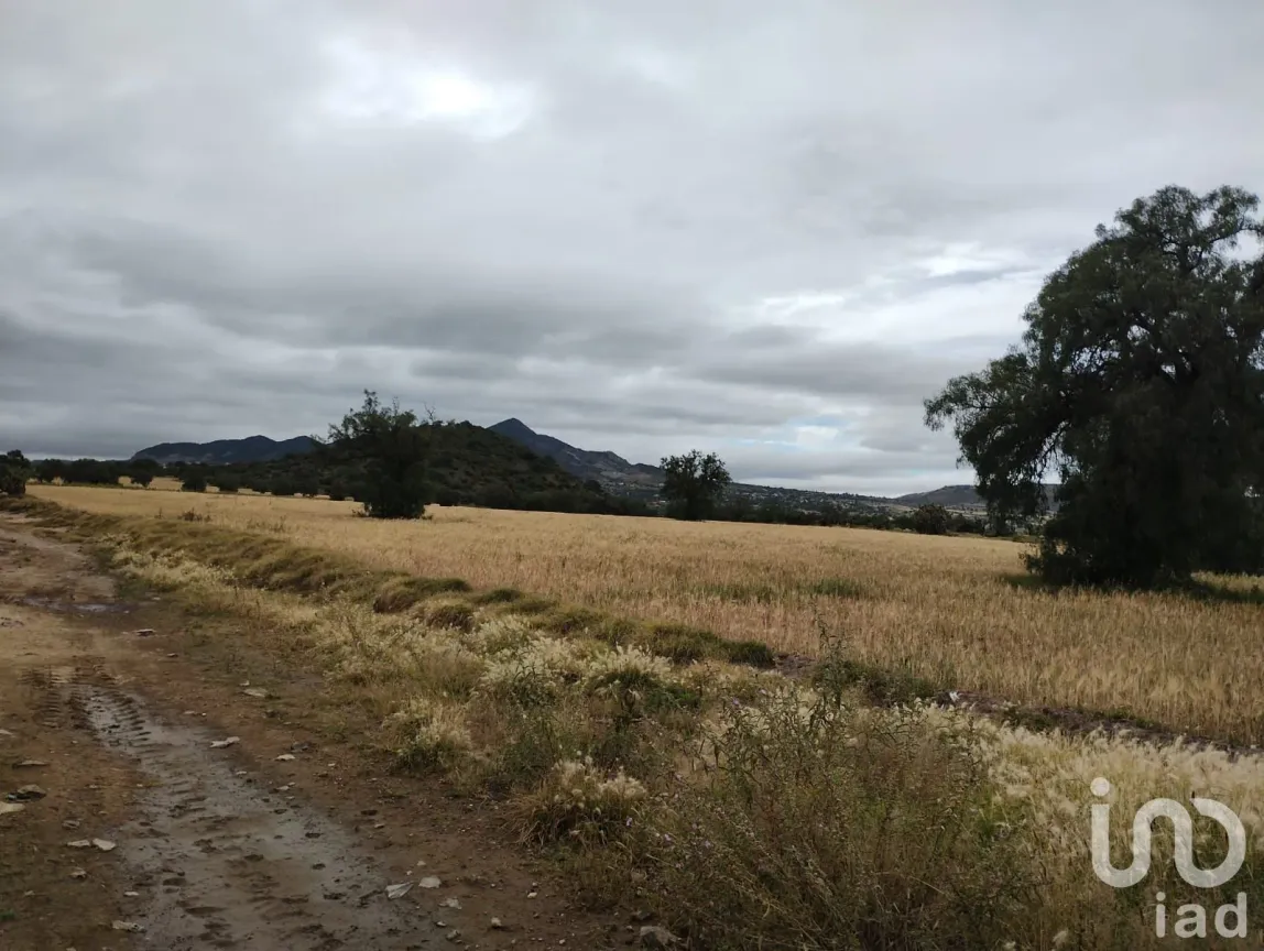 Terreno en Venta en Jagüey de Téllez (Estación Téllez), Zempoala, Hidalgo | NEX-187111 | iad México | Foto 5 de 10