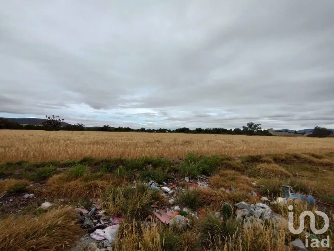 Terreno en Venta en Jagüey de Téllez (Estación Téllez), Zempoala, Hidalgo | NEX-187111 | iad México | Foto 7 de 10