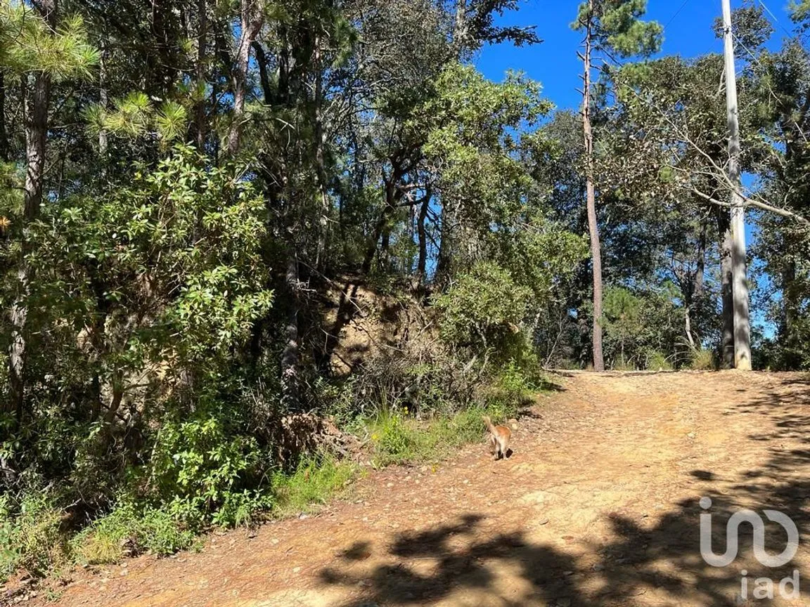 Terreno en Venta en La Gran Campaña, Mineral del Chico, Hidalgo | NEX-187811 | iad México | Foto 2 de 13
