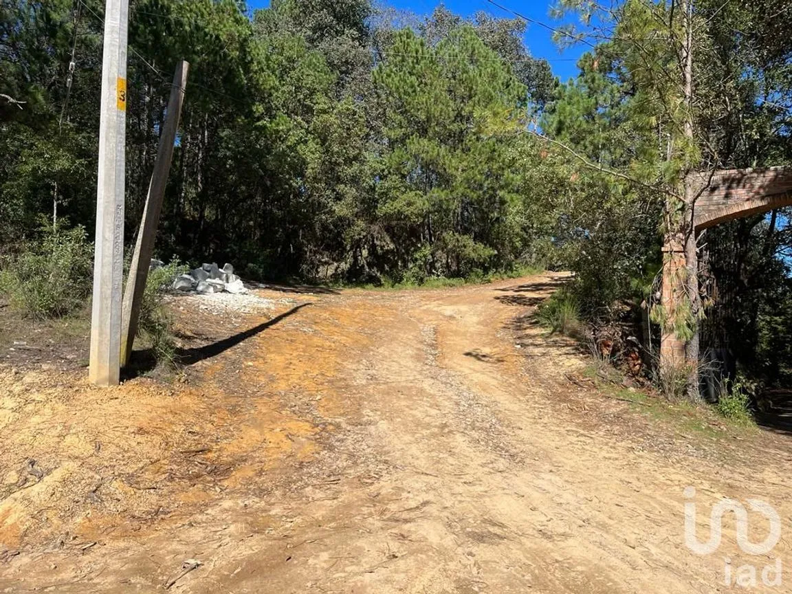 Terreno en Venta en La Gran Campaña, Mineral del Chico, Hidalgo | NEX-187811 | iad México | Foto 11 de 13
