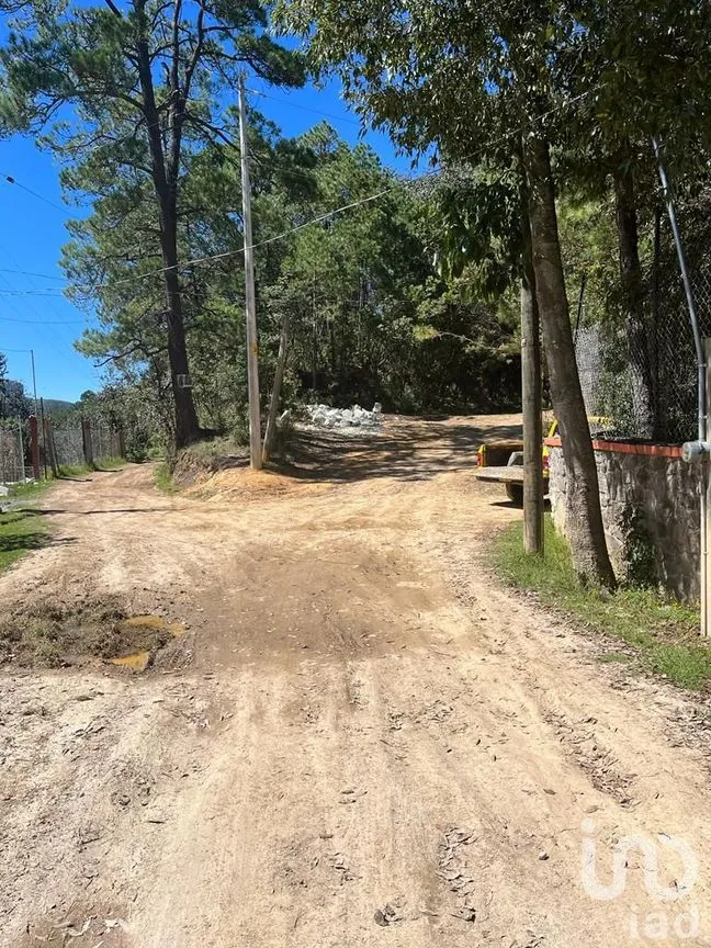 Terreno en Venta en La Gran Campaña, Mineral del Chico, Hidalgo | NEX-187811 | iad México | Foto 12 de 13