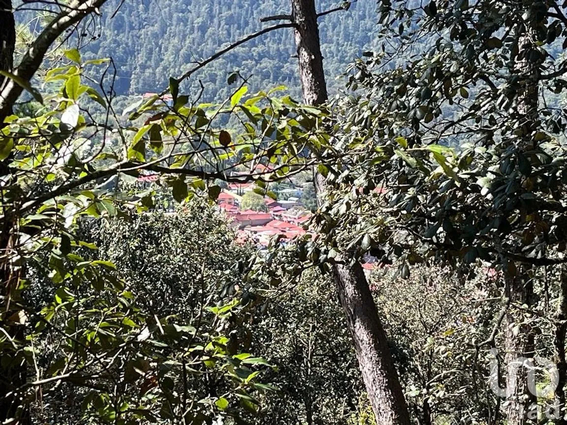 Terreno en Venta en La Gran Campaña, Mineral del Chico, Hidalgo | NEX-187811 | iad México | Foto 13 de 13